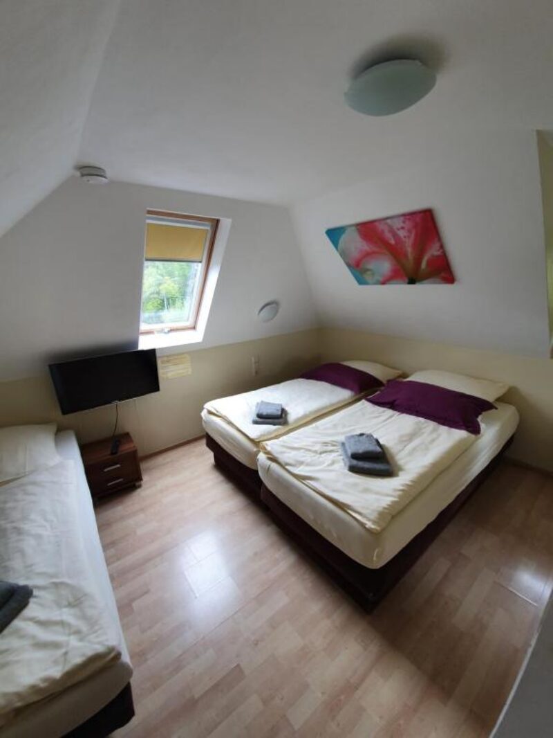 family-floor